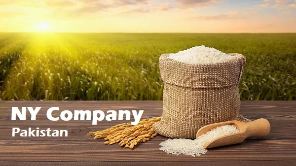 N Y Company Pakistan ISO Certified Rice Millers Exporters Parboil Husking Steam Processing Plant